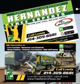 Custom business cards for Hernandez Tree Experts